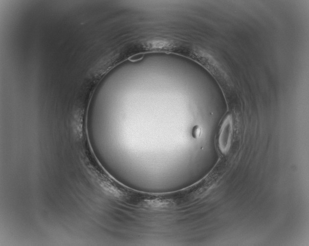 X0000070380545200606161346