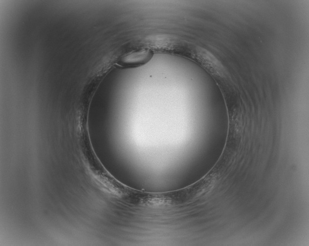 X0000070380546200606161346