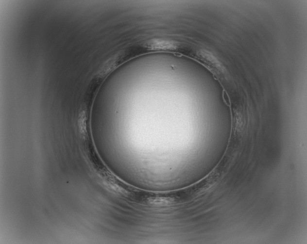 X0000070380549200606161346