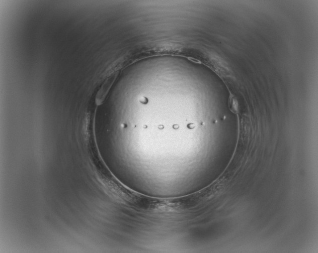 X0000070380550200606161347