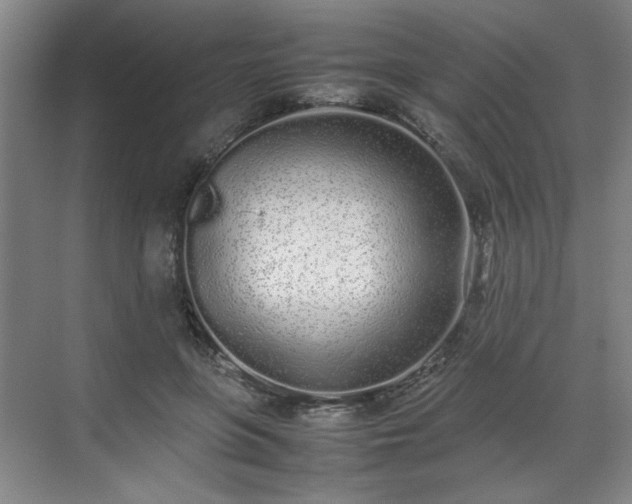 X0000070380551200606161347