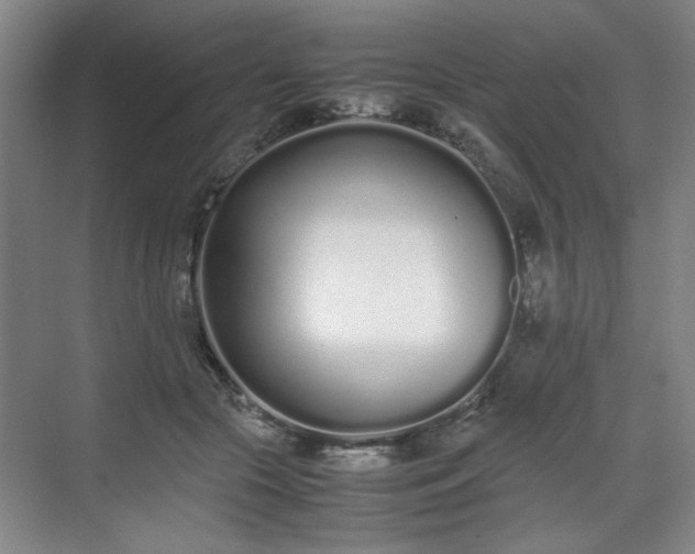 X0000070380553200606161347