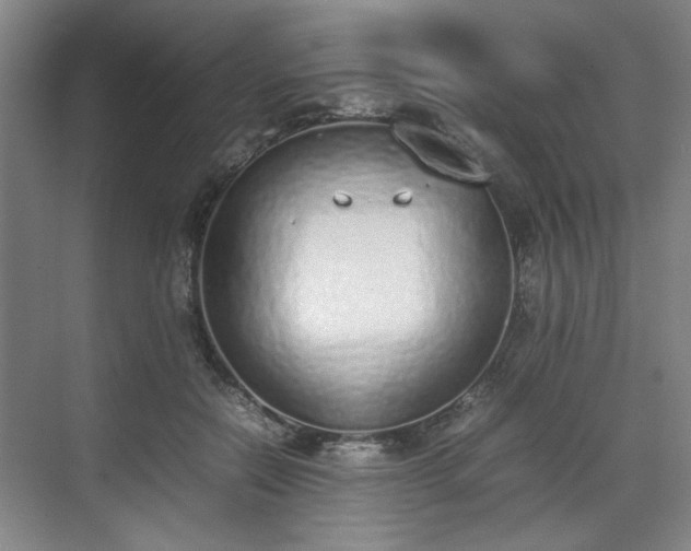 X0000070380554200606161347