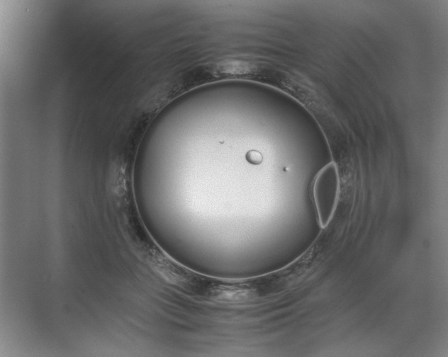 X0000070380555200606161347