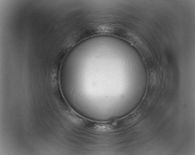 X0000070380557200606161347