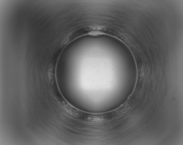 X0000070380559200606161347