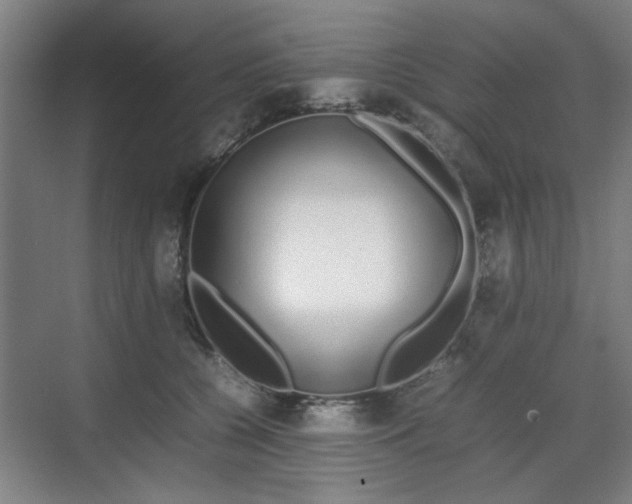 X0000070380560200606161347