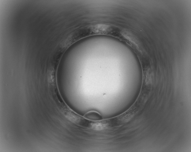 X0000070380561200606161347