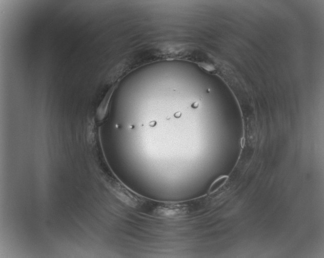 X0000070380563200606161347