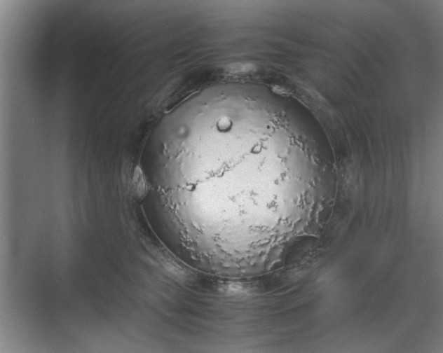 X0000070380565200606161347