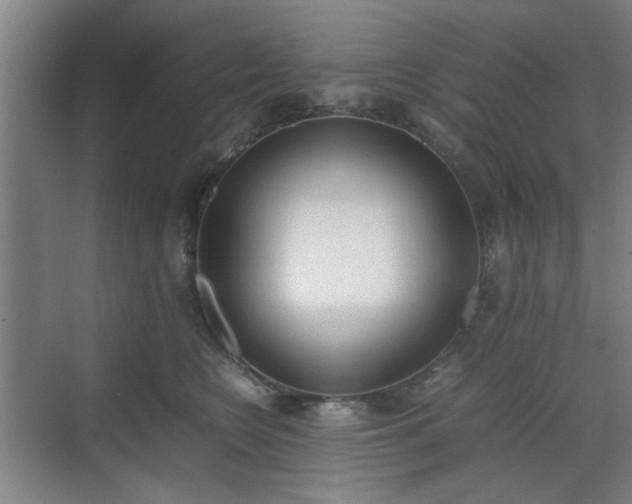 X0000070380566200606161347