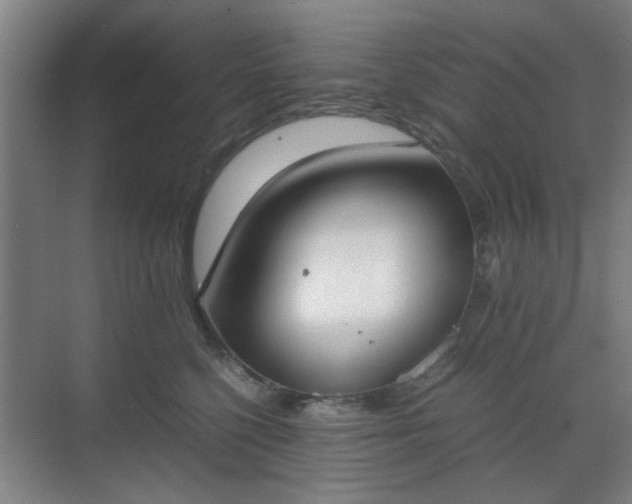 X0000070380568200606161347