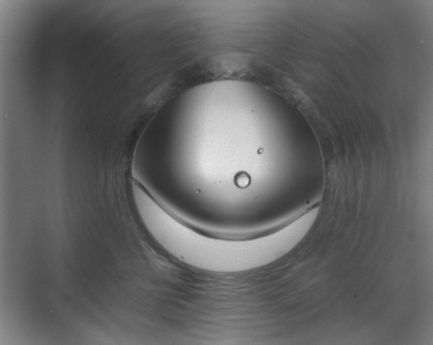 X0000070380570200606161347