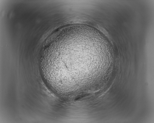 X0000070380577200606161346