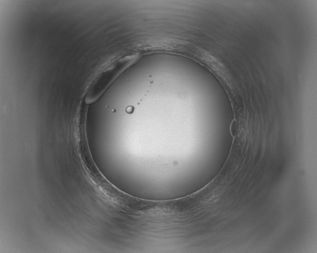 X0000070380578200606161346