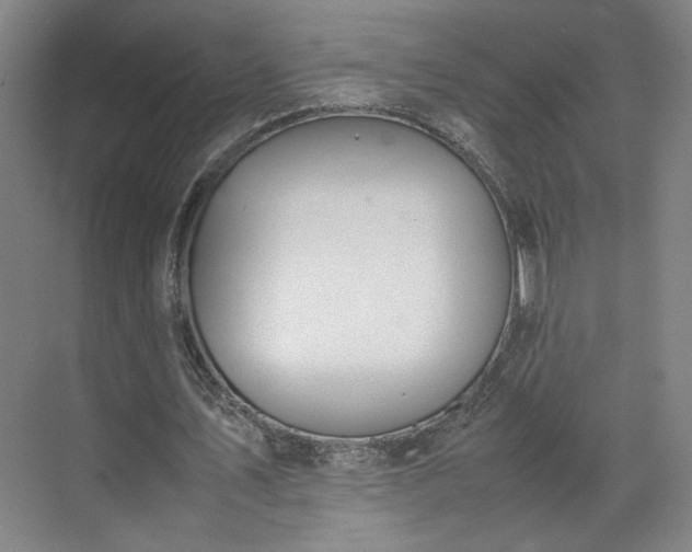 X0000070380579200606161346