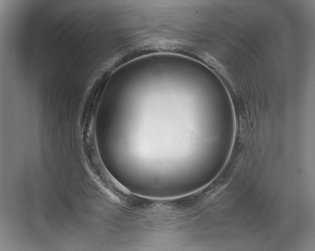 X0000070380581200606161346