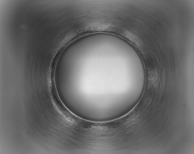 X0000070380582200606161346