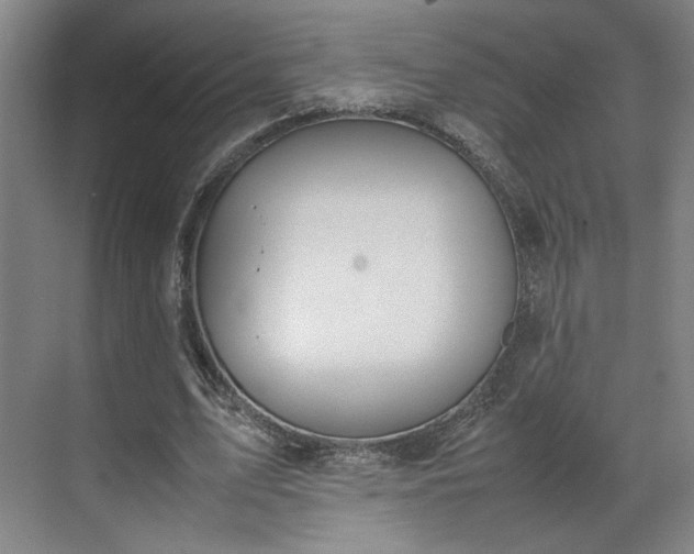 X0000070380583200606161346