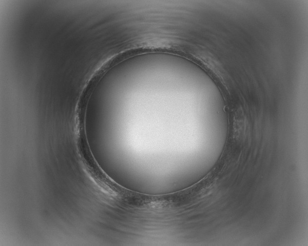 X0000070380584200606161346