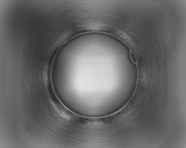 X0000070380586200606161346