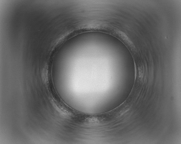 X0000070380588200606161346