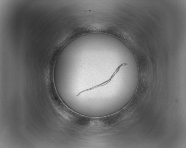 X0000070380591200606161346