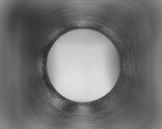 X0000070380592200606161346