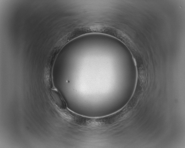 X0000070380593200606161346