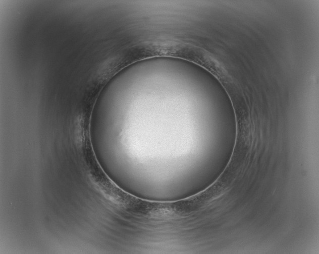 X0000070380594200606161346