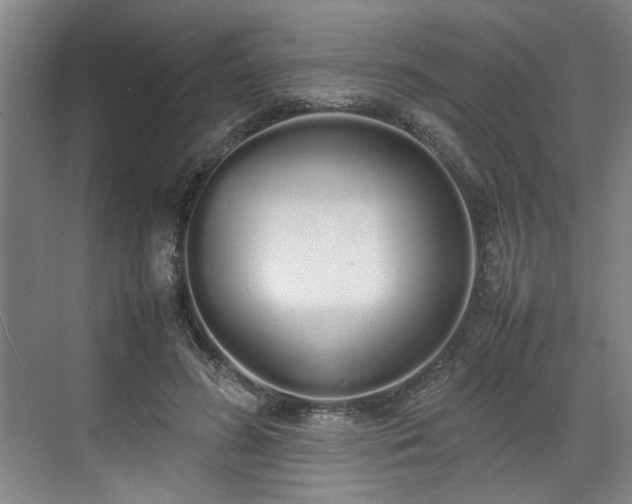 X0000070380596200606161346