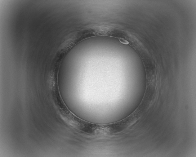 X0000070380599200606161346