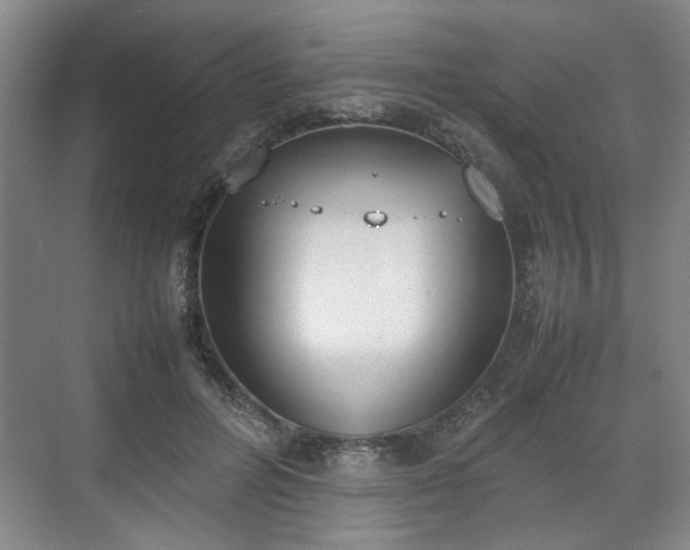 X0000070380600200606161346