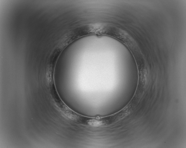 X0000070380602200606161346