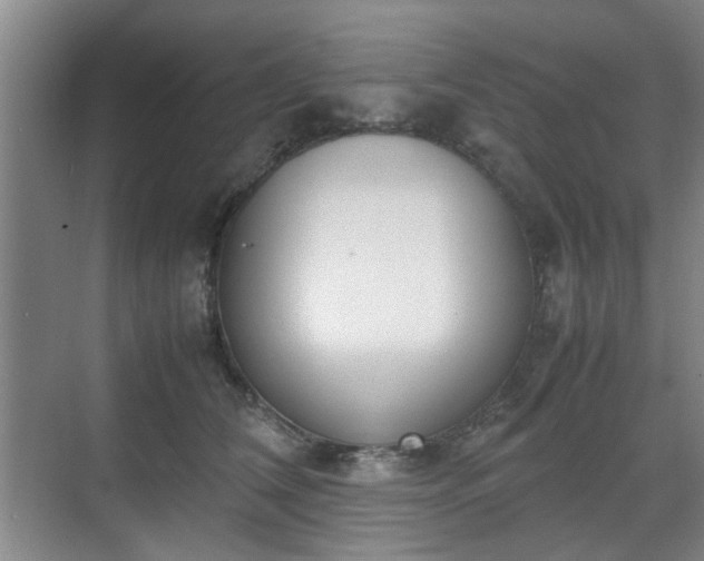 X0000070380612200606161346