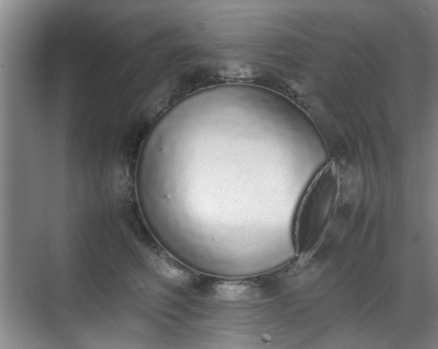 X0000070380614200606161346