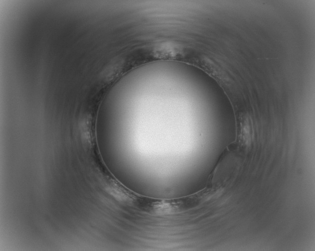 X0000070380616200606161345