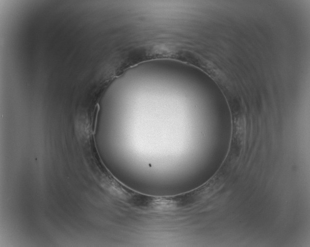 X0000070380617200606161345