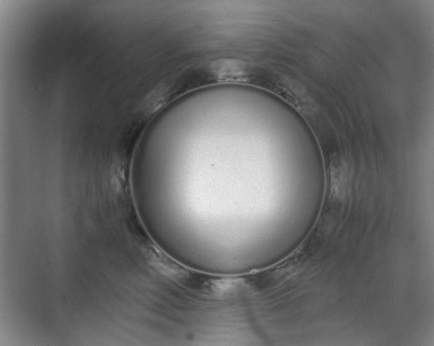 X0000070380618200606161345