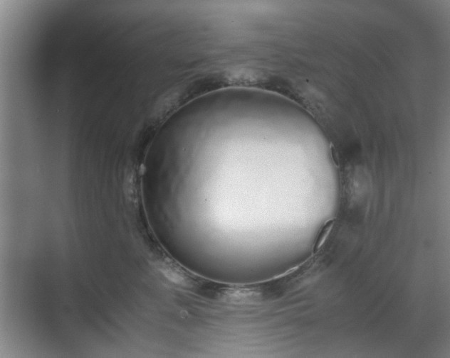 X0000070380619200606161345