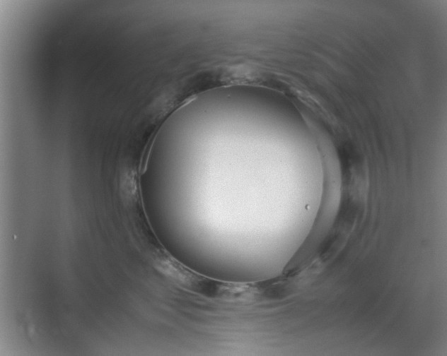 X0000070380621200606161345