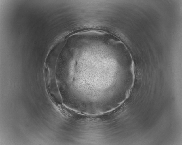 X0000070380626200606161345