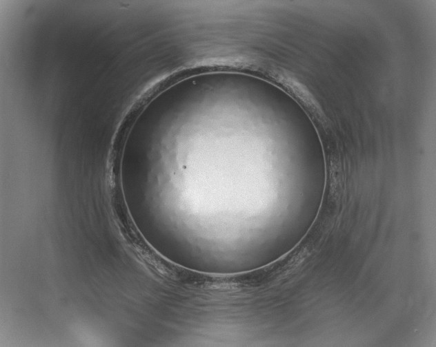 X0000070380628200606161345