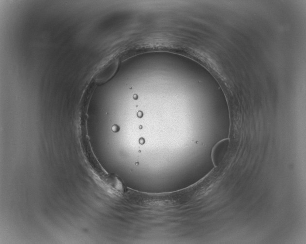 X0000070380629200606161345