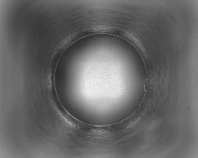 X0000070380633200606161345