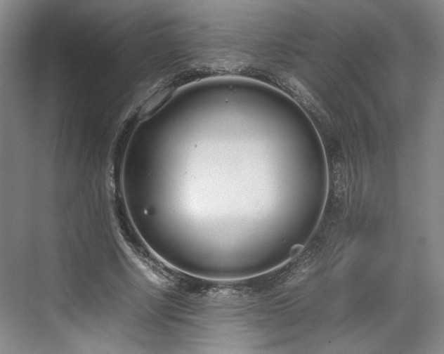 X0000070380634200606161345