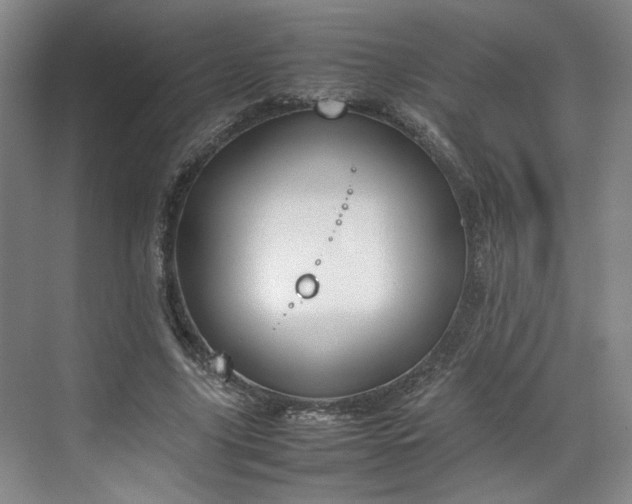 X0000070380635200606161345