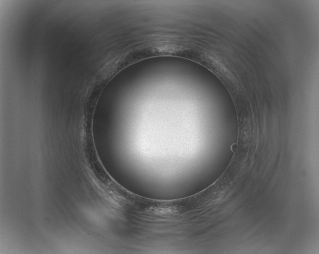 X0000070380639200606161345