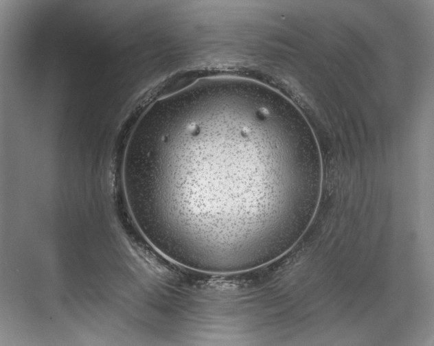 X0000070380640200606161345