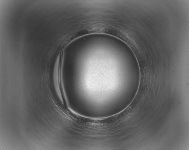 X0000070380641200606161345